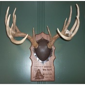 Drop Down Deer Plaque