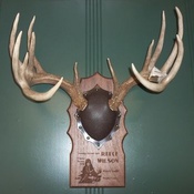 Drop Down Deer Plaque