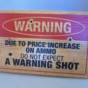 Warning Shot