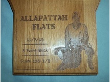 Allapollach Flats