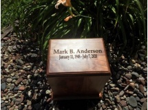 Mark Anderson